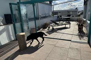 Penthouse Apartment mit großer Dachterrasse in Stuttgart Degerloch – Julius-Hölder-Straße 45, 70597 Tränke, Stuttgart – Vorschaubild 4
