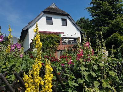 Inselfeeling pur – idyllisches Reetdachhaus mit 2 zusätzlichen Ferienwohnungen, Sauna & Nebengelass