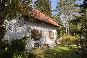 PROVISIONSFREI - GRUNDSTÜCK MIT ALTBESTAND OBERMENZING