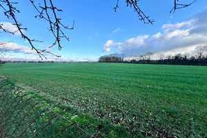 HORN IMMOBILIEN++ Burg Stargard, Einfamilienhaus mit Garage und geschlossener Veranda, Randlage – Mecklenburg-Strelitz (Kreis) – Vorschaubild 4