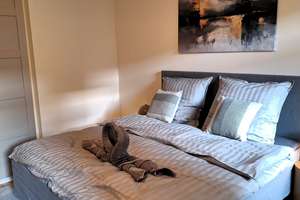 Property thumbnail 14