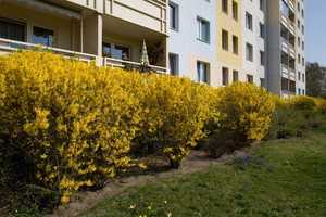 Nachmieter gesucht ! – Martha-Arendsee-Straße 32, 12681 Berlin – Vorschaubild 2