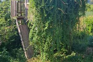 Großzügiges Einfamilienhaus in ruhiger Ortsrandlage mit unverbautem Blick – Die vollständige Adresse der Immobilie erhältst du vom Anbieter., 88271 Wilhelmsdorf – Vorschaubild 16