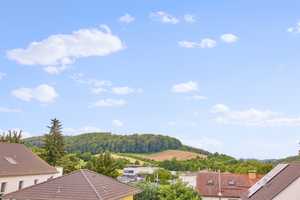 Traumhaftes Zweifamilienhaus mit großem Garten und Pool in bester Lage! – Darmstadt-Dieburg (Kreis) – Vorschaubild 7