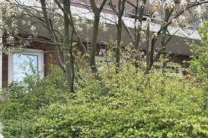 Wohngefühl mit Terrassen- und Garagenkomfort - ohne Provision – 40470 Mörsenbroich, Düsseldorf – Vorschaubild 7