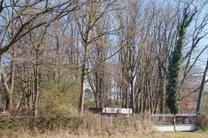 Kranenbruch 14,  Kapitalanlage Haus, Hof und Wald  mit besonderem Flair! – Kranenbruch 14, 41366 Schwalmtal – Vorschaubild 46