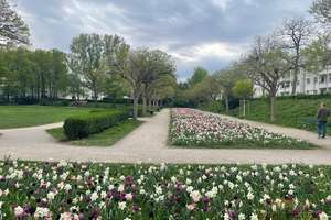 Direkt am Park! Ruhig und dennoch zentral! 2-Zimmerwohnung mit Loggia! – Die vollständige Adresse der Immobilie erhältst du vom Anbieter., 50969 Zollstock, Köln – Vorschaubild 10