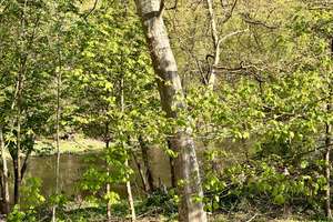 Reiheneckhaus in Bad Münster am Stein-Ebernburg – modernes Wohlfühlzuhause mit Gartenidylle – Die vollständige Adresse der Immobilie erhältst du vom Anbieter., 55583 Bad Münster am Stein-Ebernburg – Vorschaubild 23