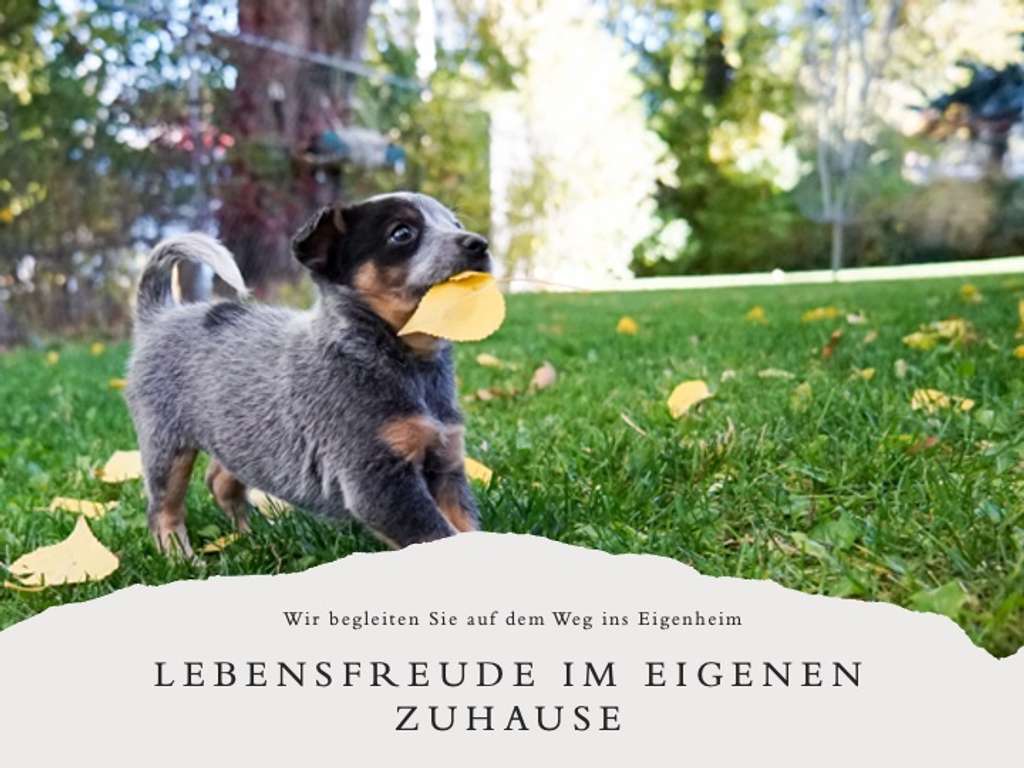 Familienglück im Eigenheim: Ihr Traumhaus für gemeinsame Erinnerungen