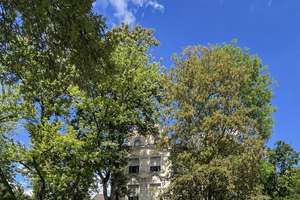 Home in the City, grüne Altbau-Oase in Wiesbaden! Kulturdenkmal-Villa, helle 2 Zi, 2 Balkone, 80 m² – Die vollständige Adresse der Immobilie erhältst du vom Anbieter., 65195 Nordost, Wiesbaden – Vorschaubild 4