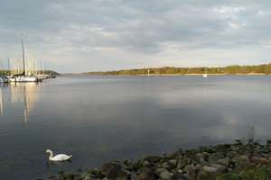 Idyllisch  WOHNEN  - zwischen TRAVE und Mühlenteich - stadtnah  – 23568 Schlutup, Lübeck – Vorschaubild 27