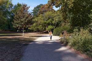 Property thumbnail 12