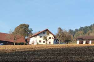 Bauernhaus, Scheune, Zweifamilienhaus, Hundezucht erlaubt  – Die vollständige Adresse der Immobilie erhältst du vom Anbieter., 94374 Schwarzach – Vorschaubild 2