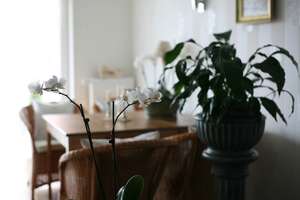 TALHEIM - Großzügige 4,5 Zimmer im 1.OG – Die vollständige Adresse der Immobilie erhältst du vom Anbieter., 74388 Talheim – Vorschaubild 6