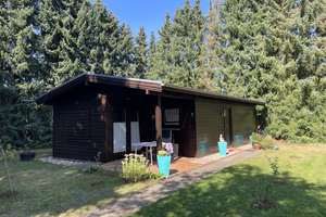 Ferienhaus - Holzhaus in idyllischer Naturlage im Pfälzer Wald  – Die vollständige Adresse der Immobilie erhältst du vom Anbieter., 76857 Gossersweiler-Stein – Vorschaubild 1