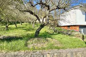Charmantes Einfamilienhaus mit modernem Komfort und traumhaftem Gartenidyll – Kleines Binsach 9, 74219 Heilbronn (Kreis) – Vorschaubild 13