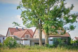 Architektenhof mit Wohn-Loft und Kapitalanlage – Die vollständige Adresse der Immobilie erhältst du vom Anbieter., 34314 Espenau – Vorschaubild 1