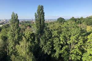 Superschönes 1-Zimmer-Apartment in Poppelsdorf – Trierer Str. 55, 53115 Poppelsdorf, Bonn – Vorschaubild 1