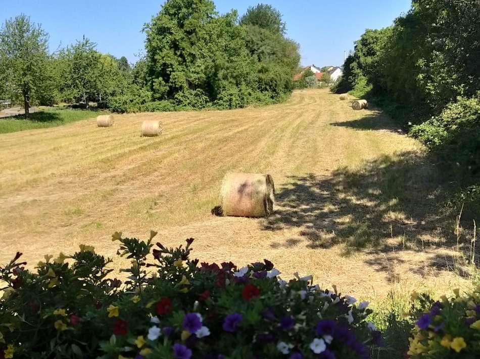 Aussicht von der Terrasse