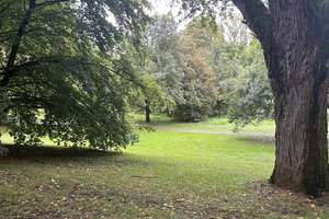 Naturidylle mit Perspektive – ruhiges Anwesen im Landschaftsschutzgebiet – Die vollständige Adresse der Immobilie erhältst du vom Anbieter., 65936 Sossenheim, Frankfurt am Main – Vorschaubild 3