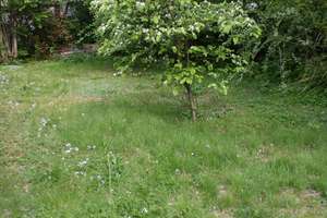 Wohnen am Waldrand in Bonn-Holzlar – Stieglitzweg 5, 53229 Holzlar, Bonn – Vorschaubild 4