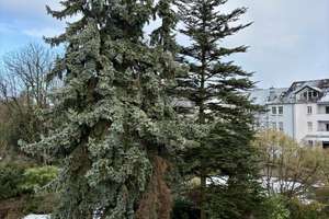 Property thumbnail 17