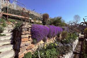 Property thumbnail 27