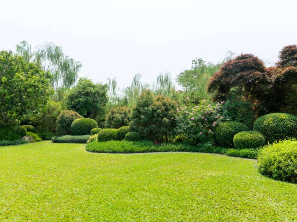 Genuss pur im eigenen Garten 8