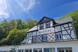RESERVIERT - Großes Landhaus mit tollem Moselblick!! – Die vollständige Adresse der Immobilie erhältst du vom Anbieter., 56841 Traben-Trarbach – Vorschaubild 55