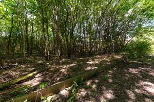 Property thumbnail 16