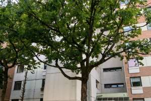 Furnished apartment near MHH, ideal for professionals, researchers and expats – Steimbker Hof 11, 30625 Heideviertel, Hannover – Vorschaubild 1