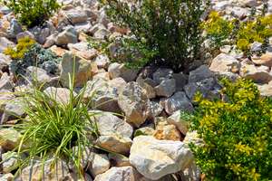 Property thumbnail 26