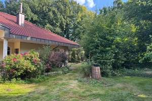 Großzügiges Haus mit Bungalow in idyllischer Lage – ca. 200 m² Wohnfläche auf 3.000 m² Grundstück – Dorf 1, 49584 Fürstenau – Vorschaubild 28