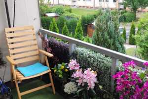 Property thumbnail 6