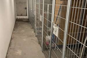Sofort bezugsfrei: 1-Zimmer-Wohnung mit Tiefgaragenstellplatz in Leipzig – Die vollständige Adresse der Immobilie erhältst du vom Anbieter., 4277 Connewitz, Leipzig – Vorschaubild 10