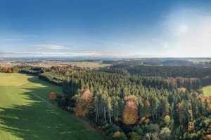 Hofanwesen mit Wald, Weiden, Wiesen und Äckern – Ebersberg (Kreis) – Vorschaubild 7