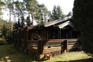 Idyllisch Wohnen im Holzhaus - mitten in der Natur! – Katenbergsheide 6, 29308 Winsen (Aller) – Vorschaubild 43
