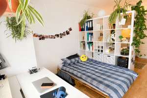 Renovierte 1-Zimmer-Wohnung mit Balkon & Einbauküche – ideal für Medizinstudenten – Die vollständige Adresse der Immobilie erhältst du vom Anbieter., 69123 Wieblingen, Heidelberg – Vorschaubild 5
