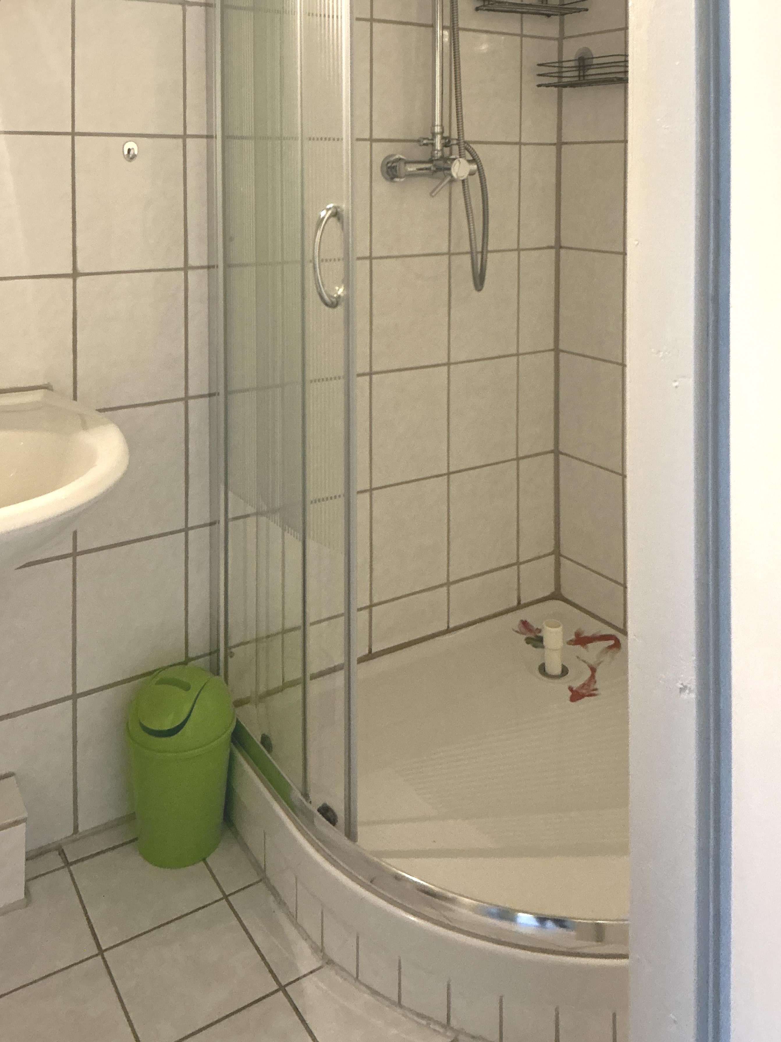 Immobilie in Hann. Münden - Fachwerkhaus in gepflegtem Zustand, frei, Hann.Münden, im beliebtem Ortsteil Gimte - Bild 5