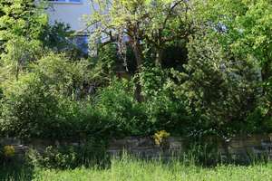 **KILLESBERGWOHNEN** DHH mit Charme in BESTLAGE & PANORAMABLICK | GROSSEM GARTEN & GARAGE – Die vollständige Adresse der Immobilie erhältst du vom Anbieter., 70192 Killesberg, Stuttgart – Vorschaubild 17