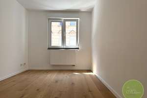 ** NEUbau & "neuer" AltbauCharme mit über 42 QM  Wohnzimmer  ** 4 Zimmer ** Nähe Wiesengrund ** – Gutenbergstrasse 23, 90766 Scherbsgraben, Billinganlage, Fürth – Vorschaubild 6