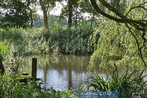 Romantik pur: Reetgedecktes Fachwerkhaus mit Teich in traumhafter Lage – Cuxhaven (Kreis) – Vorschaubild 7