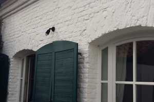 Haus 4 im Gut Arenzhof in Köln Fühlingen – Köln – Vorschaubild 18