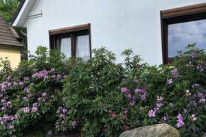 Von Privat: Haushälfte mit 2 Wohnungen und kleinem Garten in toller Lage