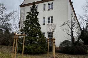 Property thumbnail 15