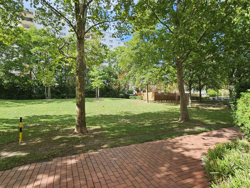 20250915_120859_resized