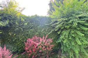 Property thumbnail 34