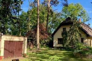 Großzügiges Haus im Grünen direkt am Elsensee zu vermieten! – Die vollständige Adresse der Immobilie erhältst du vom Anbieter., 15537 Grünheide (Mark) – Vorschaubild 6