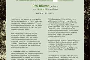 - GOLDSTÜCK - Sanierte 2 Raum Altbauwohnung mit Balkon und Blick ins grüne Karree! – Die vollständige Adresse der Immobilie erhältst du vom Anbieter., 40233 Flingern Nord, Düsseldorf – Vorschaubild 7