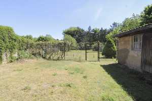 - Ruhe genießen - Wohnen mit Garten in Waldrandlage – Wittenberg (Kreis) – Vorschaubild 5